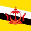 Bandiera del Brunei con stemma rosso e sfondo giallo
