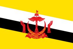 Bandiera del Brunei con stemma rosso e sfondo giallo