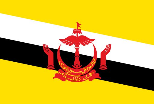 Bandiera del Brunei con stemma rosso e sfondo giallo