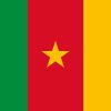 Bandiera del Camerun con stella gialla
