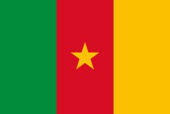 Bandiera del Camerun con stella gialla