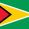 Bandiera Guyana | Drapeau de la Guyane |🇬🇾