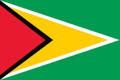 Bandiera Guyana | Drapeau de la Guyane |🇬🇾