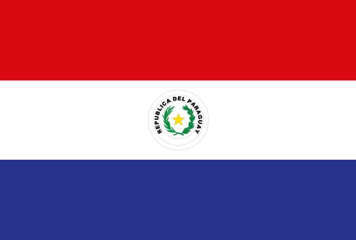 Bandiera del Paraguay con escudo presidencial y del Tesoro Nacional