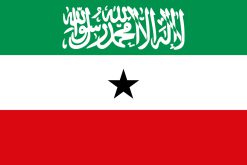Bandiera del Somaliland con bande verdi, bianche e rosse.