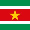 Bandiera del Suriname