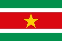Bandiera del Suriname
