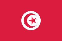 Bandiera della Tunisia con mezzaluna e stella rossa