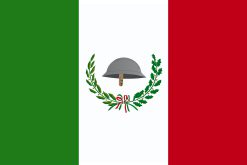 Bandiera Italia Combattenti e Reduci