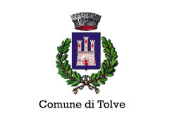 Bandiera Comune di Tolve