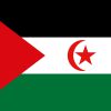 Bandiera della Repubblica Democratica Araba dei Sahrawi