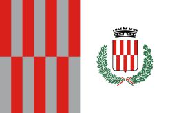Bandiera Città di Settimo Milanese