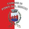 Bandiera Comune Ponti sul Mincio