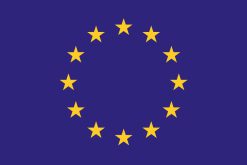 Bandiera dell'Unione Europea